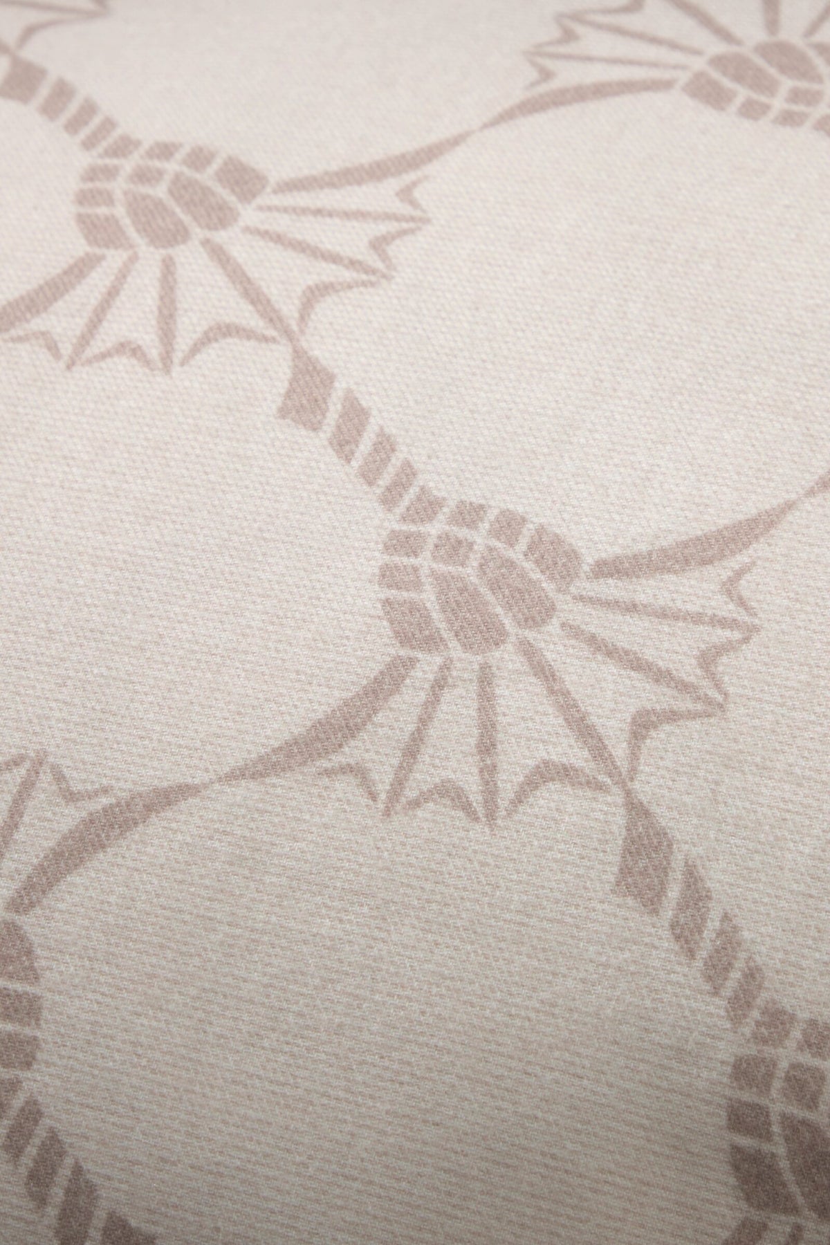 JOOP! SOFT CORNFLOWER Kissenbezug 80x80 cm, Cream